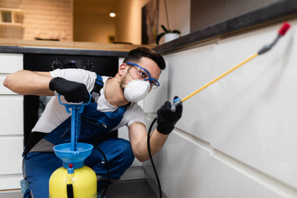 Best Fumigation Services  in Lost Hills, CA